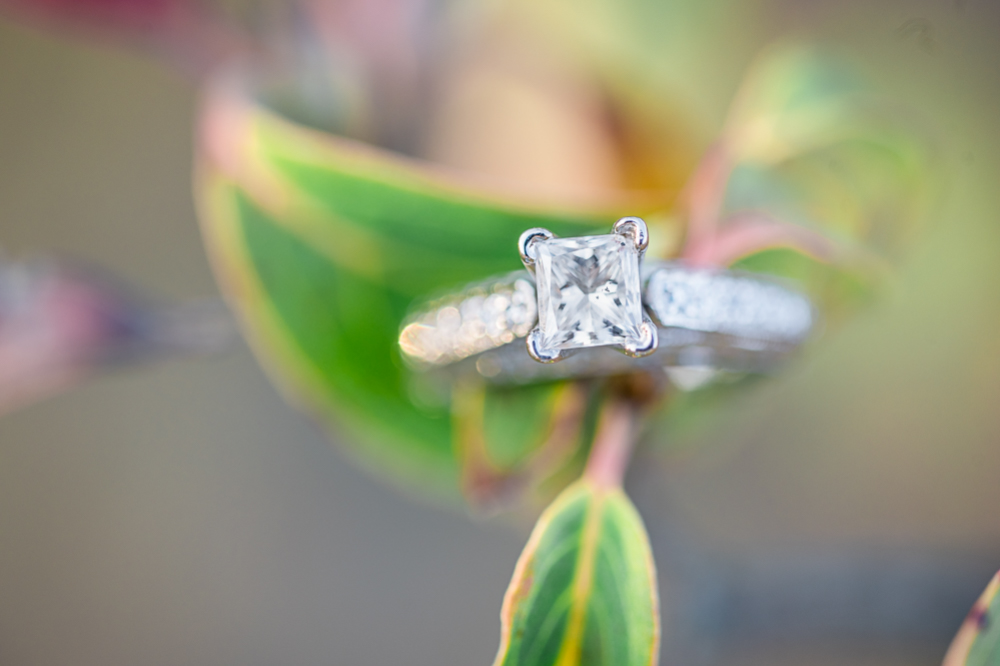 Foliage-Filled Surprise Proposal in Charlottesville VA - Hunter and Sarah Photography
