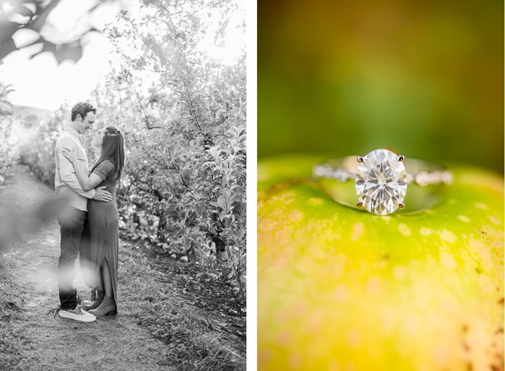 Sunny Surprise Proposal at Carter Mountain Apple Orchard - Hunter and Sarah Photography