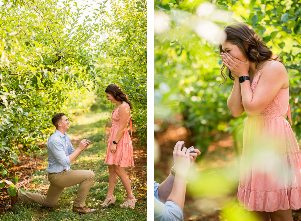 Sunny Surprise Proposal at Carter Mountain Orchard - Hunter and Sarah Photography