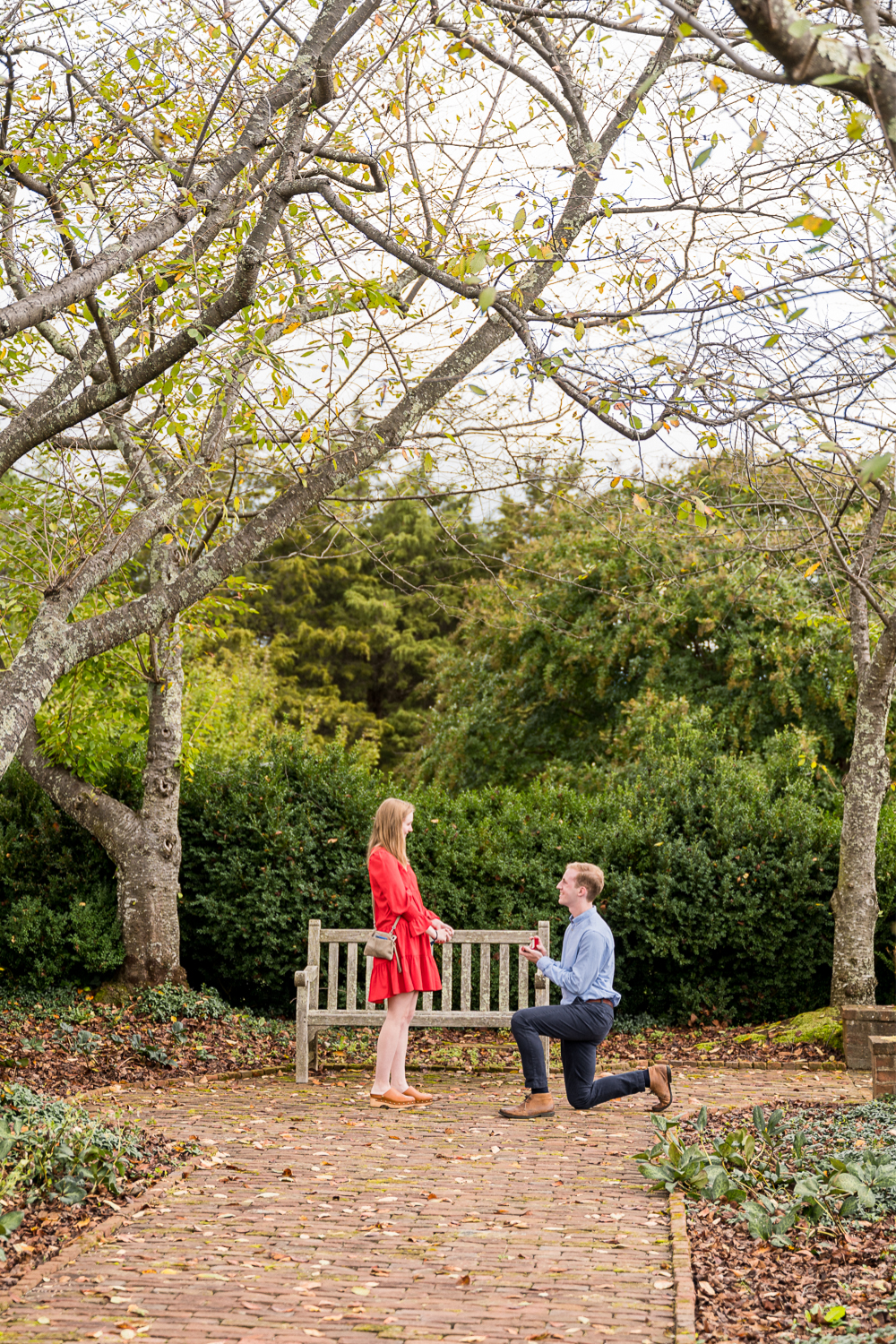Joyful Garden Proposal in Charlottesville, Virginia - Hunter and Sarah Photography