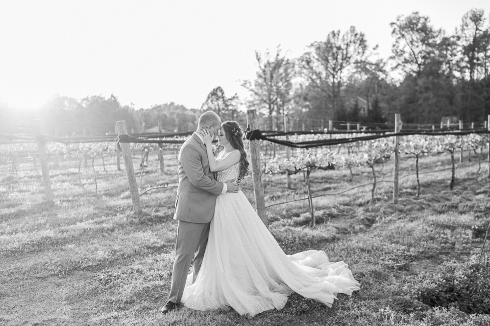 Laidback Spring Wedding at Ashton Creek Vineyard in Richmond - Hunter and Sarah Photography