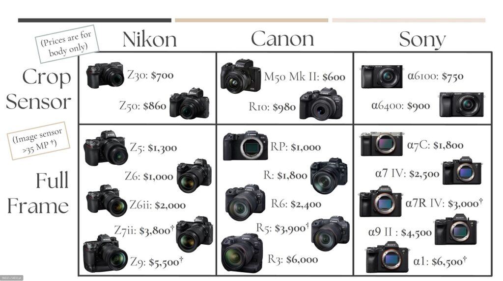 Best Starter Camera for Newer Photographers (Nikon vs. Canon vs. Sony