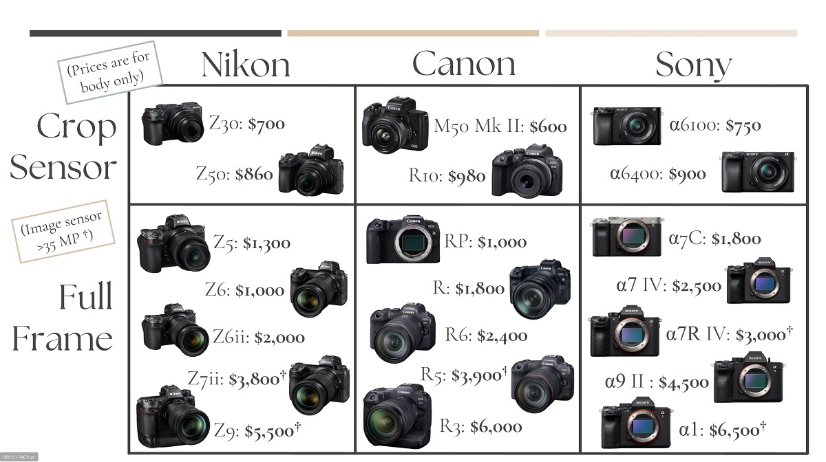 Best Starter Camera for New Photographers (Nikon vs. Canon vs. Sony) - Hunter and Sarah Photography