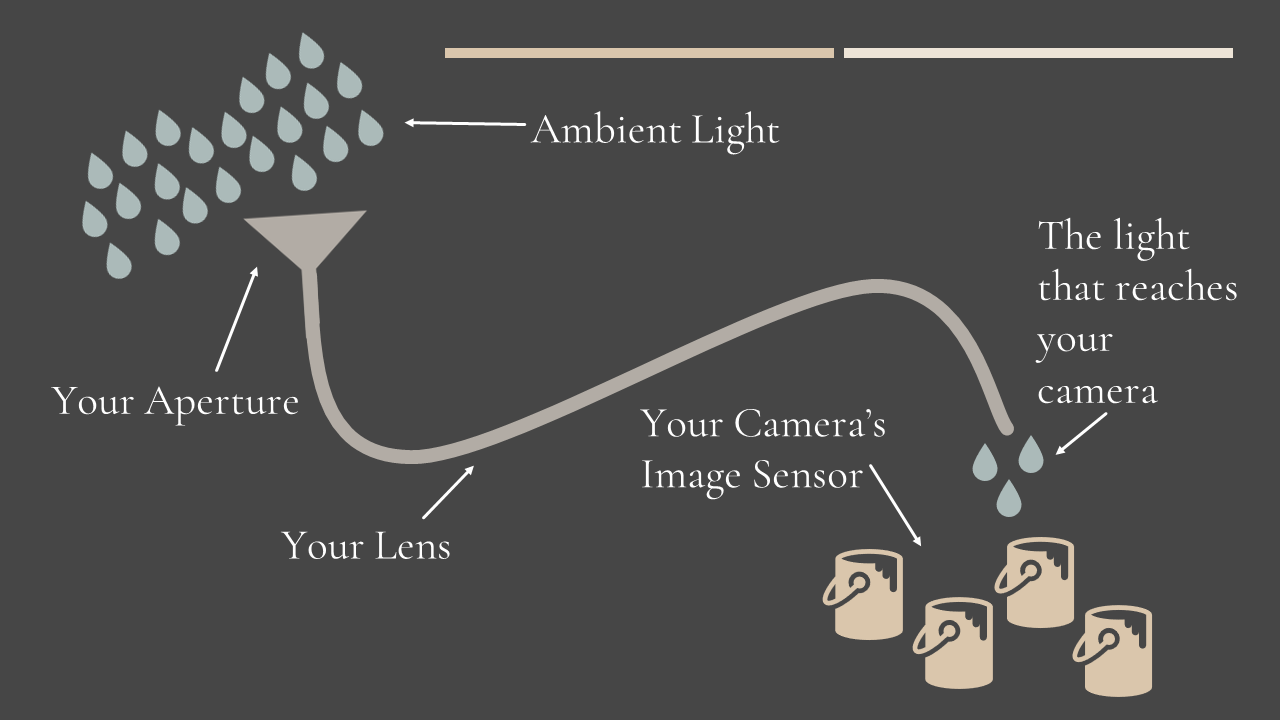 How does aperture work? Explanation by Hunter and Sarah Photography 5