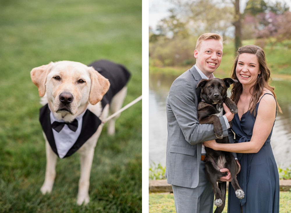 How to Photograph Dogs on an Engagement Session - Hunter and Sarah Photography