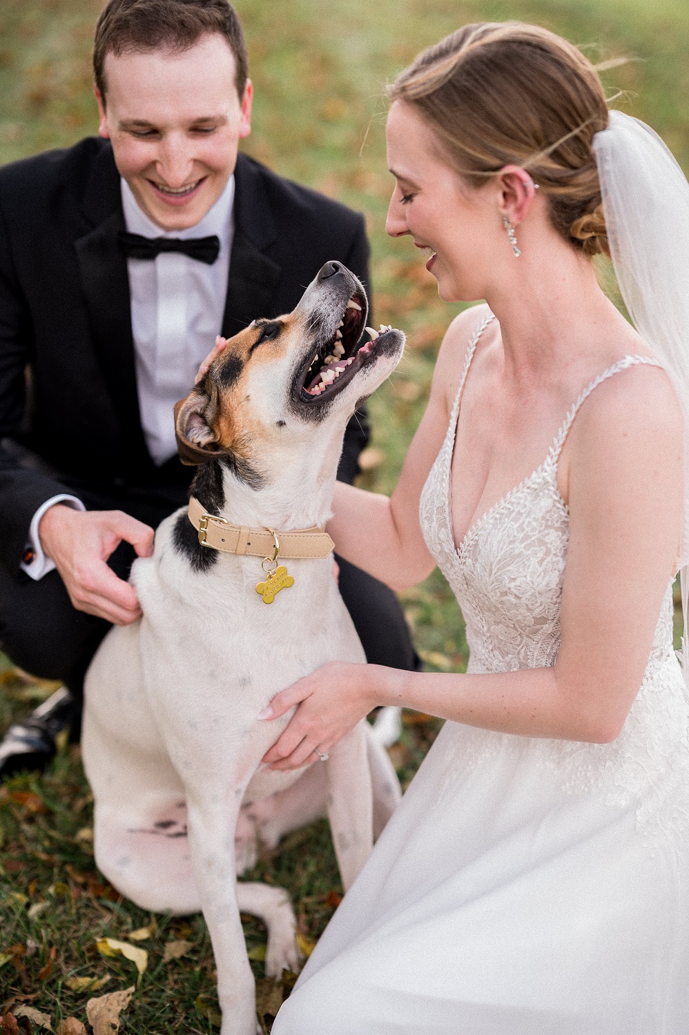 Dog Lover's Fall Wedding at Renback Barn