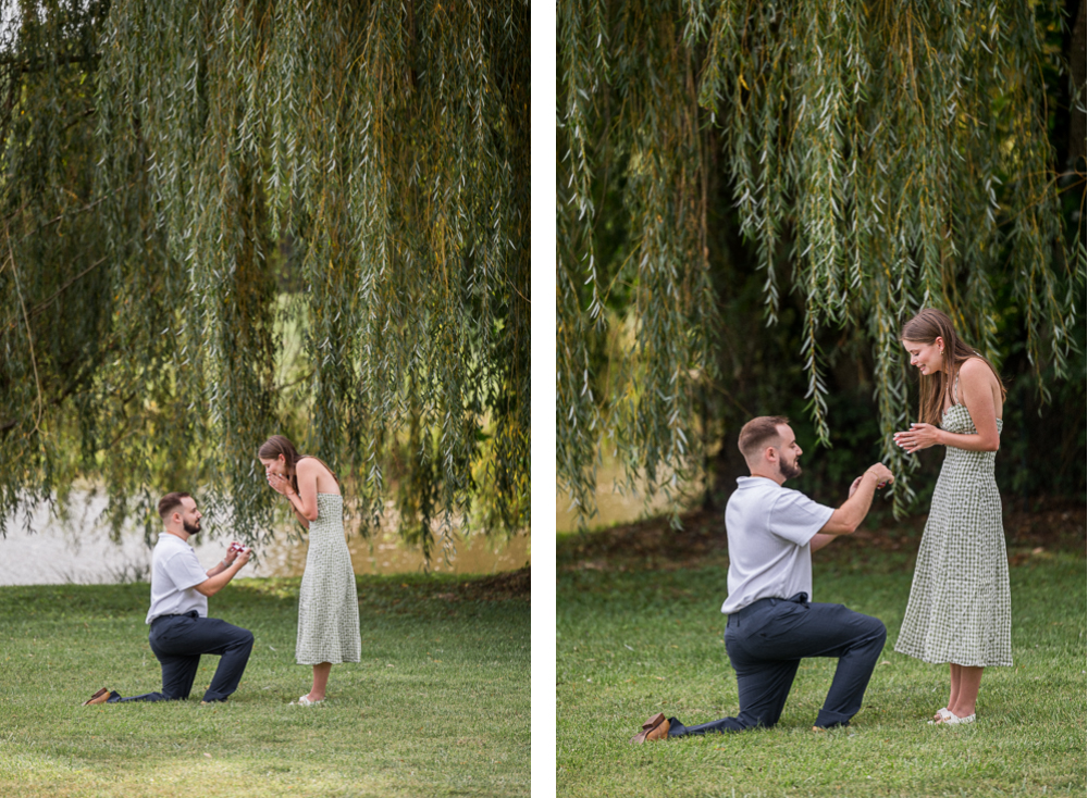 Overcast Surprise Proposal at Trump Winery and Albemarle Estate - Hunter and Sarah Photography