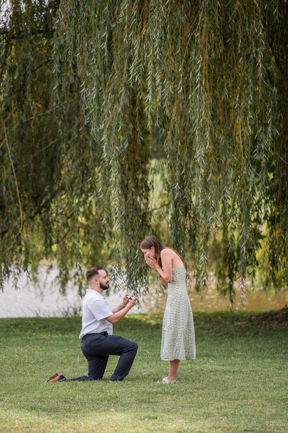 Overcast Surprise Proposal at Trump Winery and Albemarle Estate - Hunter and Sarah Photography