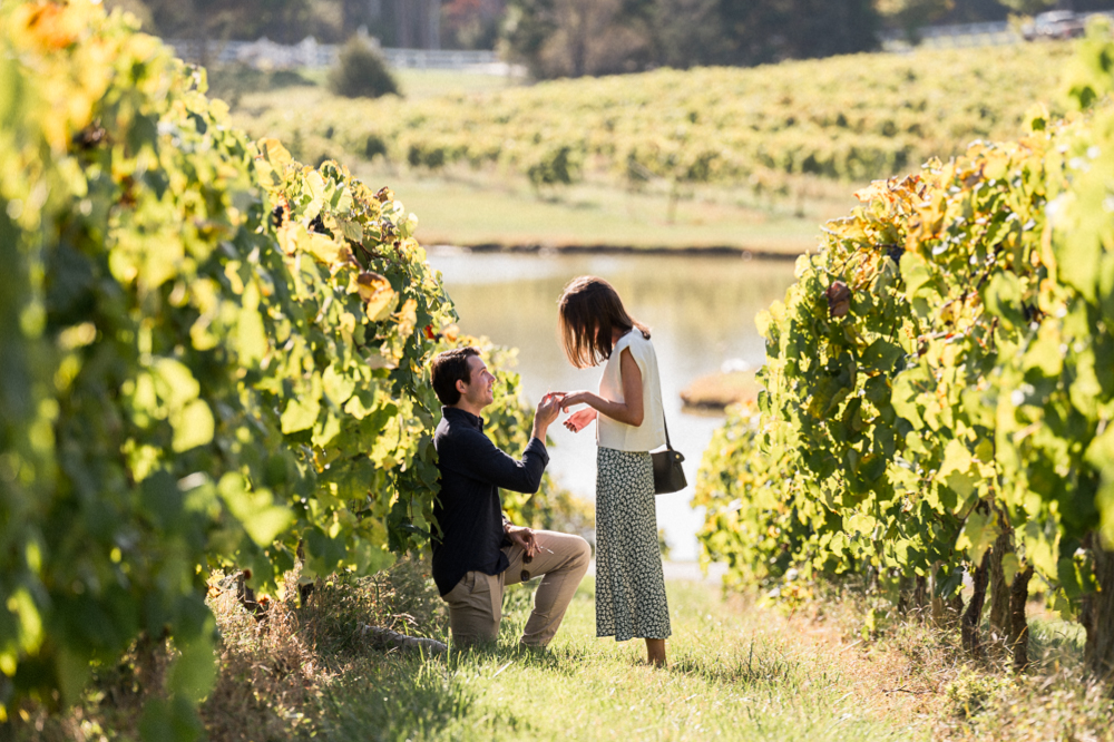 Where to propose in Charlottesville VA - hunter and sarah photography