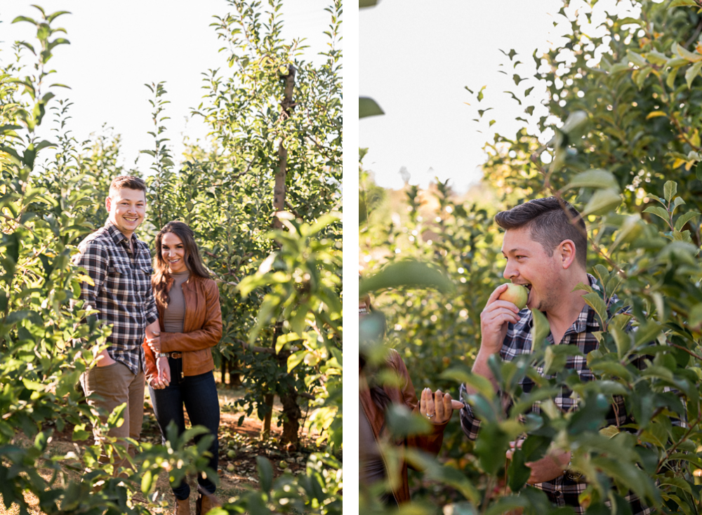 Apple-Picking Engagement Session at Carter Mountain Apple Orchard