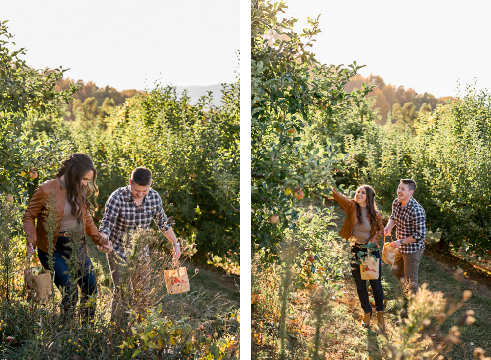 Apple-Picking Engagement Session at Carter Mountain Apple Orchard