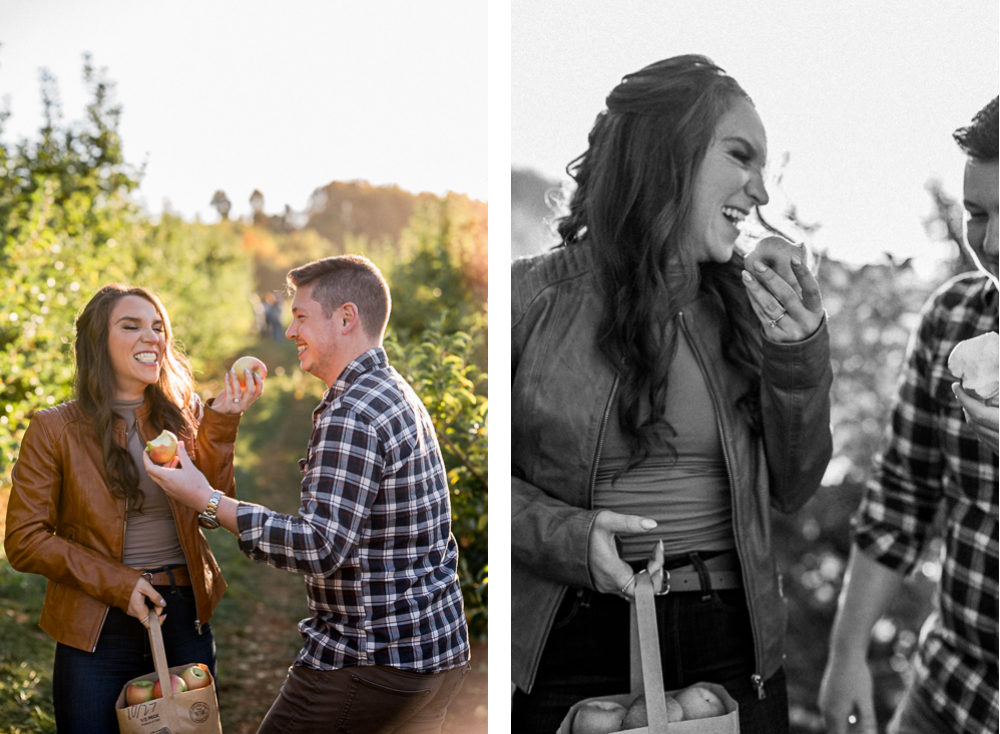 Apple-Picking Engagement Session at Carter Mountain Apple Orchard