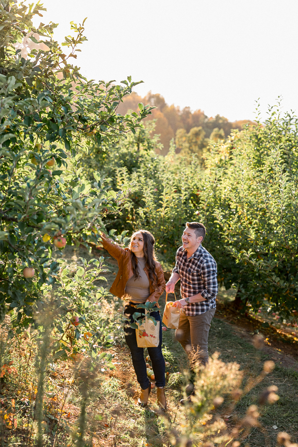 Apple-Picking Engagement Session at Carter Mountain Apple Orchard