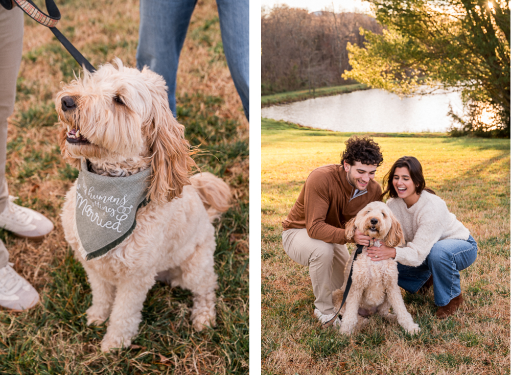 Fall Pollak Vineyards Surprise Proposal - Hunter and Sarah Photography