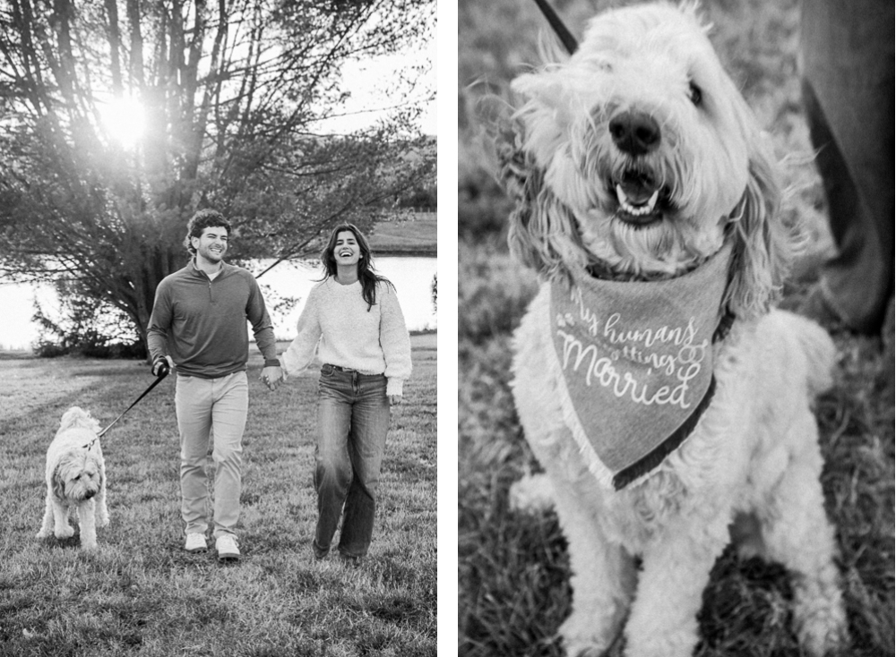 Surprise Engagement at Pollak Vineyards - Hunter and Sarah Photography