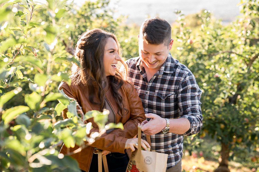A couple giggles together as they pick apples at Carter Mountain Apple Orchard during their engagement photoshoot