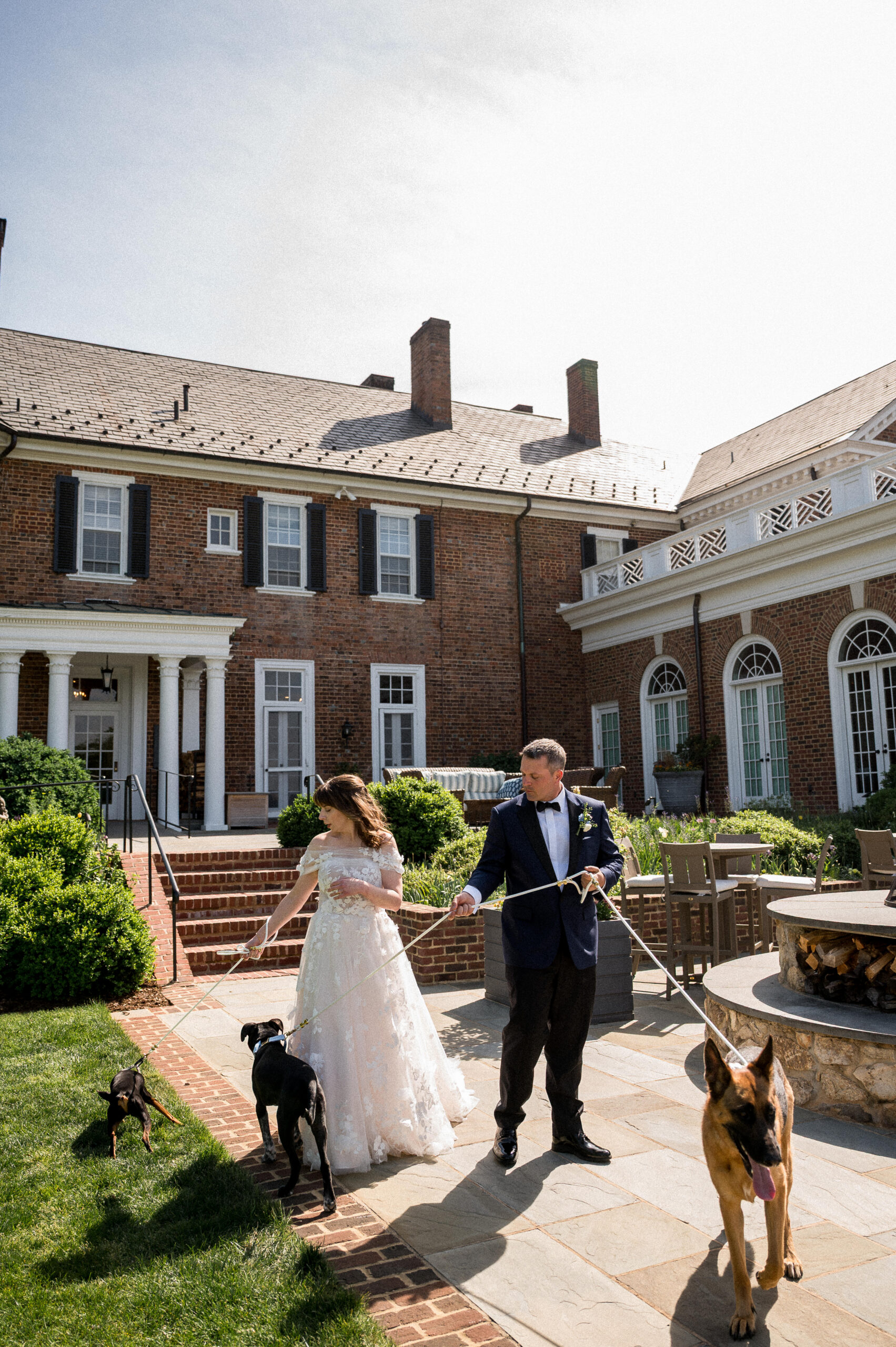 A bride in a flowing white gown and a groom in a blue tuxedo walk their three dogs on their wedding day outside Farmington Country Club, ahead of their intimate Farmington Wedding. Beautifully photographed by Hunter and Sarah Photography.