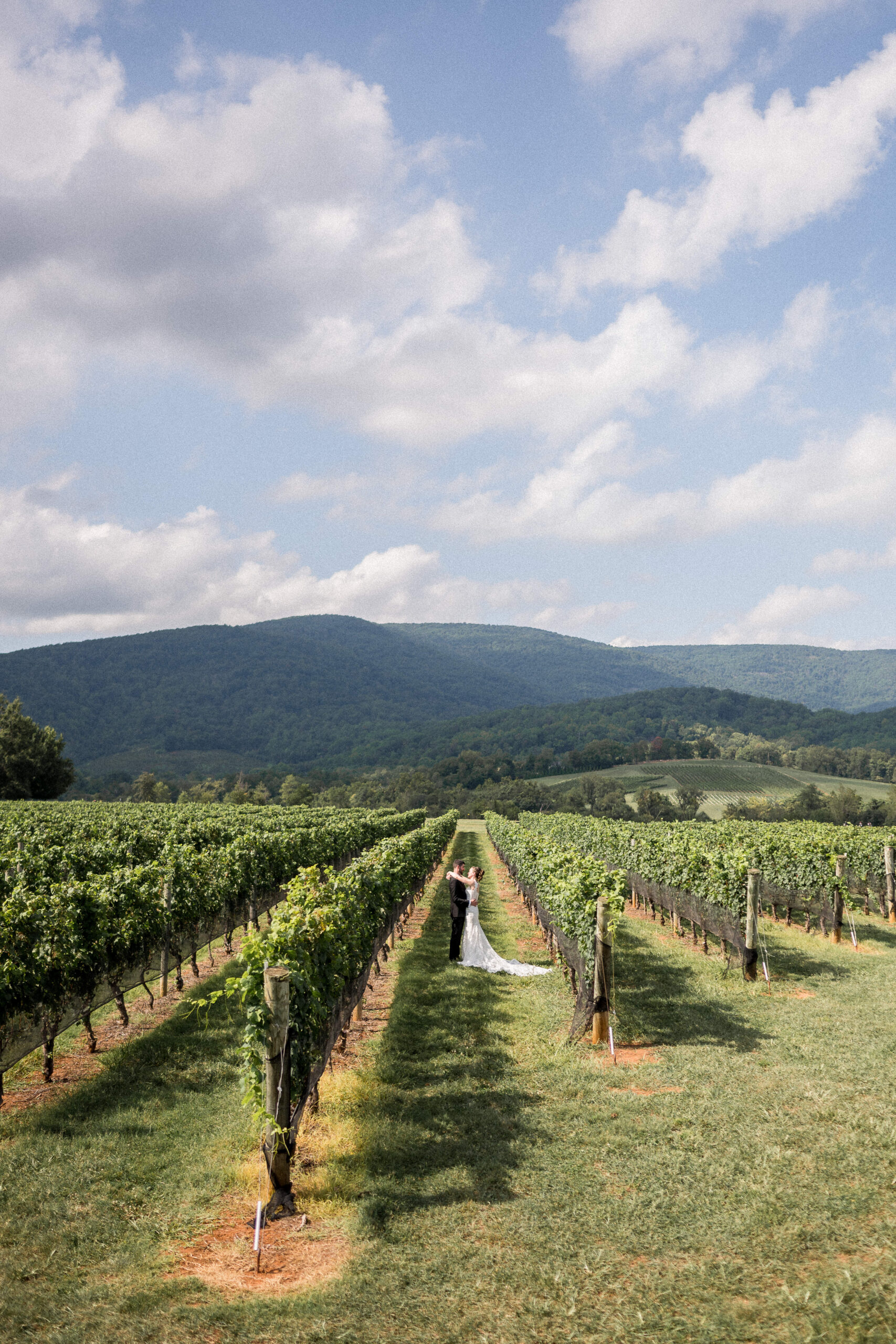 A couple poses between rows of vines during their summer wedding at King Family Vineyards. Captured from 20 feet above the ground, the Blue Ridge Mountains are visible behind them as puffy white clouds break up anotherwise bright blue sky.